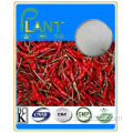 Real Factory Natural Capsaicin Cristaux en gros Capsaïcine en gros poudre